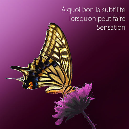 French slogan with image of butterfly on a flower