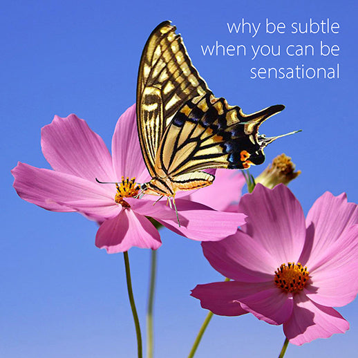 Slogan: Why be subtle when you can be sensational